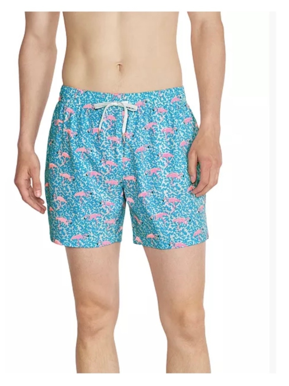 Chubbies The Domingos Are For Flamingos 5.5" Swim Trunks Shorts Aqua Pink  Large
